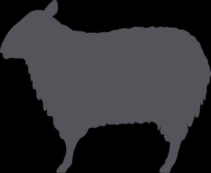 Sheep Outline